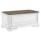 Storage Trunk